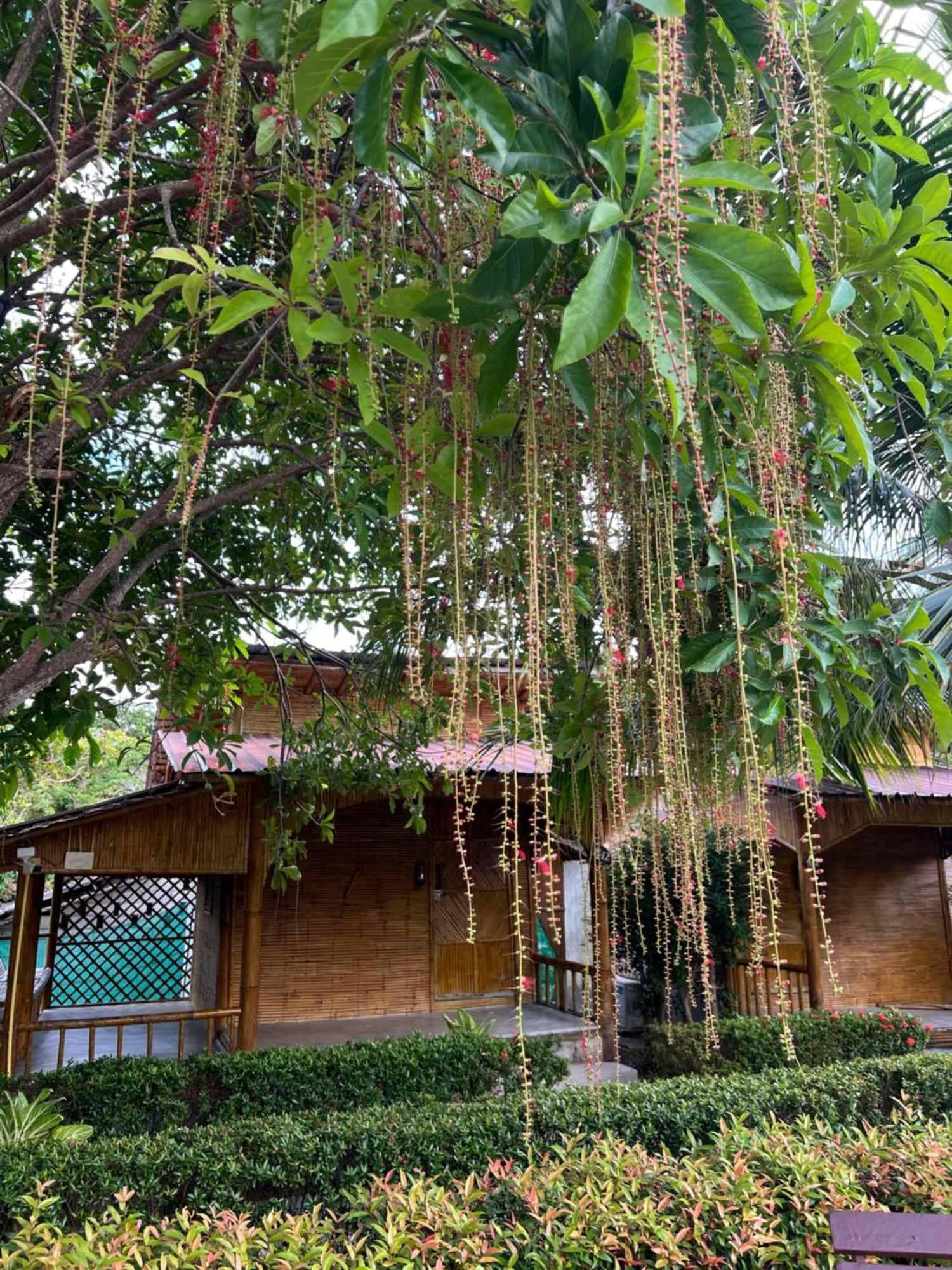 Chom Dao Resort Ко-Ланта Экстерьер фото
